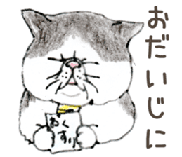 Kansai dialect chubby cat sticker sticker #8058475