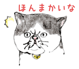 Kansai dialect chubby cat sticker sticker #8058477