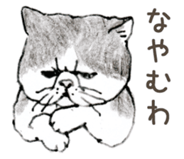 Kansai dialect chubby cat sticker sticker #8058478