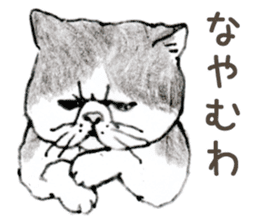 Kansai Dialect Chubby Cat Sticker By Shima Zoo Works