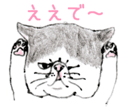 Kansai dialect chubby cat sticker sticker #8058479