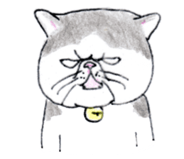 Kansai dialect chubby cat sticker sticker #8058483