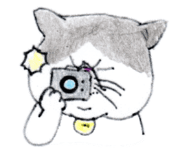Kansai dialect chubby cat sticker sticker #8058484