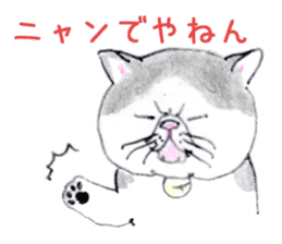 Kansai dialect chubby cat sticker sticker #8058485
