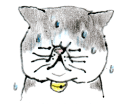 Kansai dialect chubby cat sticker sticker #8058486