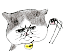 Kansai dialect chubby cat sticker sticker #8058487