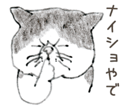 Kansai dialect chubby cat sticker sticker #8058488