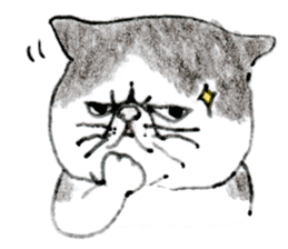 Kansai dialect chubby cat sticker sticker #8058490