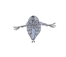 Mizinko! sticker #8058780