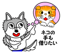 OOKAMIYO BOKU-C 3 sticker #8062387