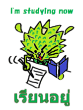 Coconut cat Durian cat English-Thai ver. sticker #8065599