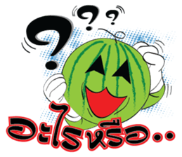 Mr. & Mrs. WATER MALON sticker #8065638