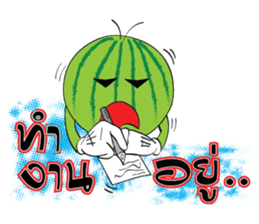 Mr. & Mrs. WATER MALON sticker #8065642