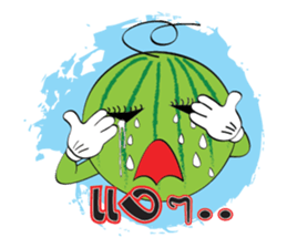 Mr. & Mrs. WATER MALON sticker #8065656