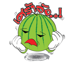 Mr. & Mrs. WATER MALON sticker #8065659