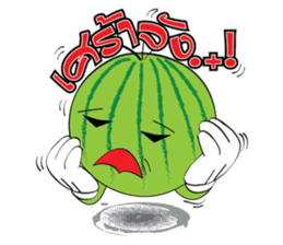 Mr. & Mrs. WATER MALON sticker #8065659