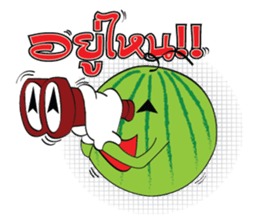 Mr. & Mrs. WATER MALON sticker #8065663