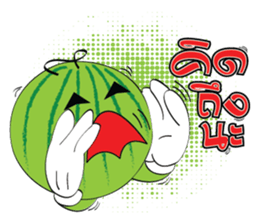 Mr. & Mrs. WATER MALON sticker #8065671