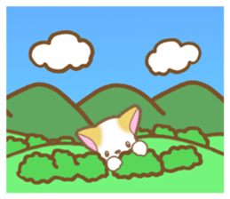 Reply of cat2 sticker #8065872