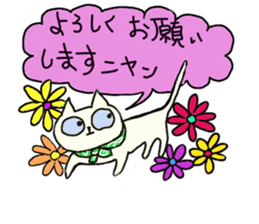 Cute cat if Bute sticker #8066544