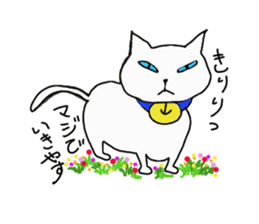 Cute cat if Bute sticker #8066547