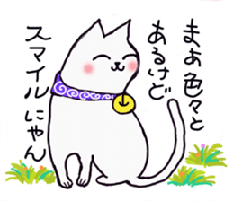 Cute cat if Bute sticker #8066553