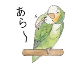 Peace of the lovebird sticker #8068436