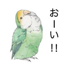 Peace of the lovebird sticker #8068442