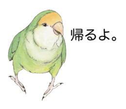 Peace of the lovebird sticker #8068447