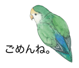 Peace of the lovebird sticker #8068450