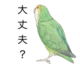 Peace of the lovebird sticker #8068455