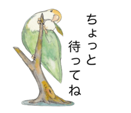 Peace of the lovebird sticker #8068457