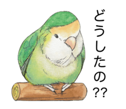 Peace of the lovebird sticker #8068460