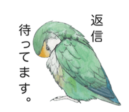 Peace of the lovebird sticker #8068466