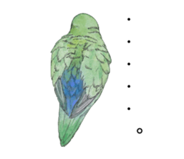 Peace of the lovebird sticker #8068474