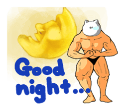 Cat of bodybuilding sticker #8071917