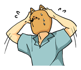 Cat of bodybuilding sticker #8071933