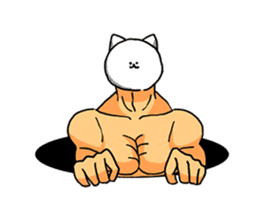 Cat of bodybuilding sticker #8071938