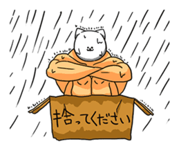 Cat of bodybuilding sticker #8071953