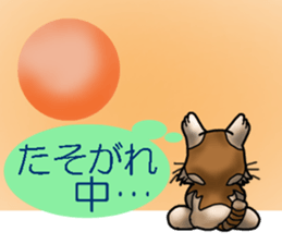 Kotora boy of rainbow-colored cat sticker #8072199