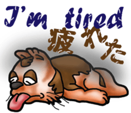 Kotora boy of rainbow-colored cat sticker #8072203