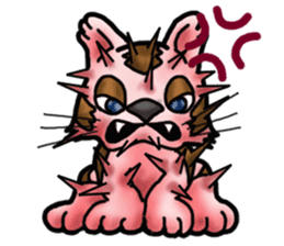 Kotora boy of rainbow-colored cat sticker #8072213