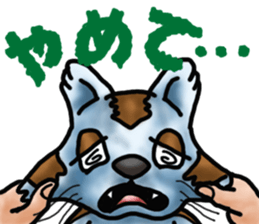 Kotora boy of rainbow-colored cat sticker #8072226