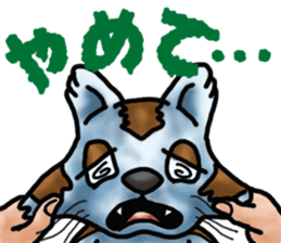 Kotora boy of rainbow-colored cat sticker #8072226