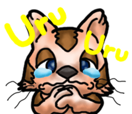 Kotora boy of rainbow-colored cat sticker #8072230