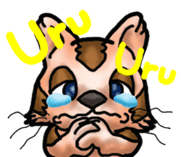 Kotora boy of rainbow-colored cat sticker #8072230