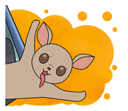 Chihuahua does not go out of the house sticker #8072572