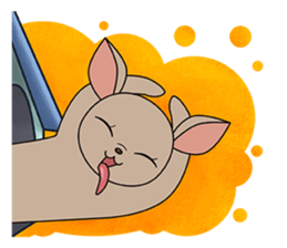 Chihuahua does not go out of the house sticker #8072573