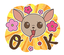 Chihuahua does not go out of the house sticker #8072575