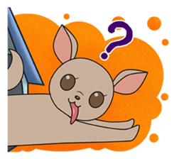 Chihuahua does not go out of the house sticker #8072577